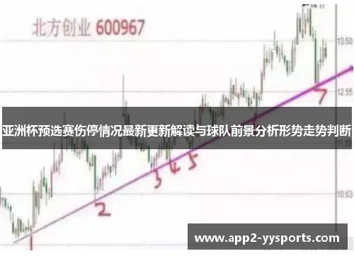 亚洲杯预选赛伤停情况最新更新解读与球队前景分析形势走势判断