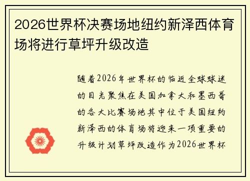 2026世界杯决赛场地纽约新泽西体育场将进行草坪升级改造